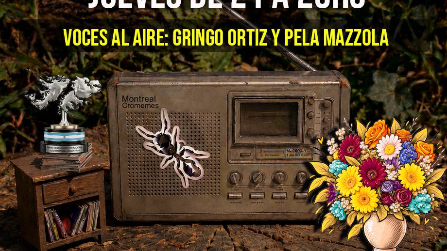 festival de la canción en el cañito cultural | El grito de la hormiga