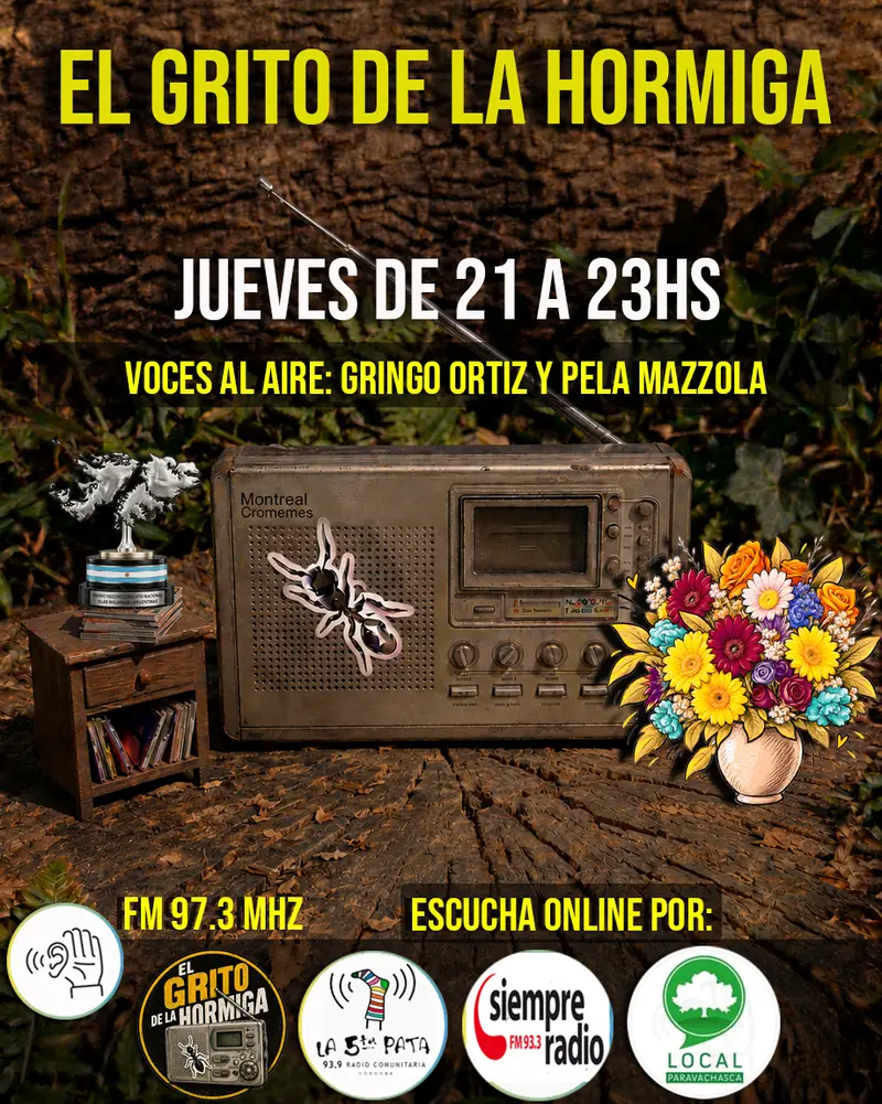 festival de la canción en el cañito cultural | El grito de la hormiga